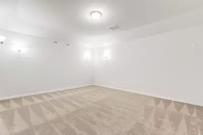 2176 Olive Branch Road, Frisco, TX 75033 - Photo 17