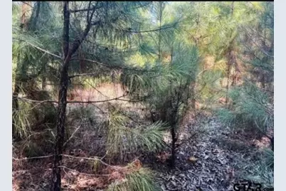 22847 Fm 2215, Frankston, TX 75763 - Photo 37