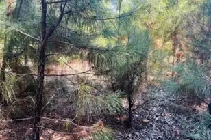 22847 Fm 2215, Frankston, TX 75763 - Photo 37