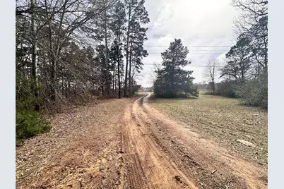 22847 Fm 2215, Frankston, TX 75763 - Photo 3