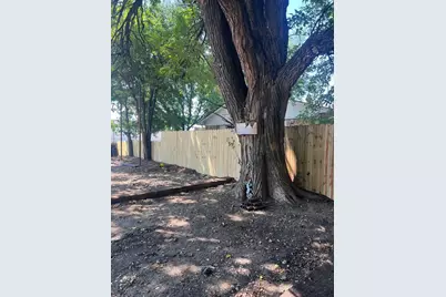 203 Ram Avenue, Sadler, TX 76264 - Photo 3