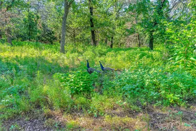 4825 Conveyor Drive, Cleburne, TX 76031 - Photo 11