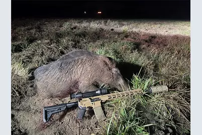 3222 Fm1254, Mineola, TX 75773 - Photo 21