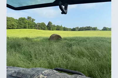 3222 Fm1254, Mineola, TX 75773 - Photo 7