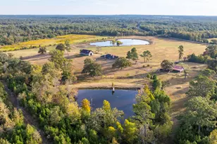 3222 FM1254, Mineola, TX 75773 - Photo 1