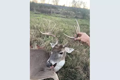 3222 Fm1254, Mineola, TX 75773 - Photo 19