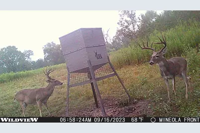 3222 Fm1254, Mineola, TX 75773 - Photo 17