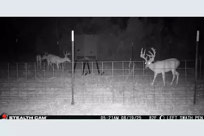 3222 Fm1254, Mineola, TX 75773 - Photo 15