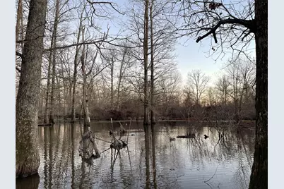 3222 Fm1254, Mineola, TX 75773 - Photo 13