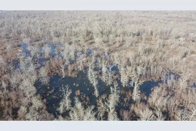 3222 Fm1254, Mineola, TX 75773 - Photo 11