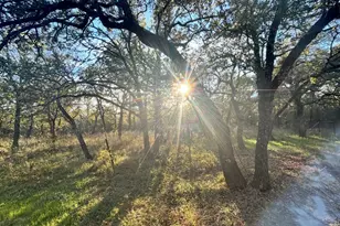 647 Co Rd 3657, Springtown, TX 76082 - Photo 9