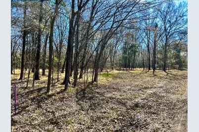 Tbd Rs County Road 3500, Emory, TX 75440 - Photo 13