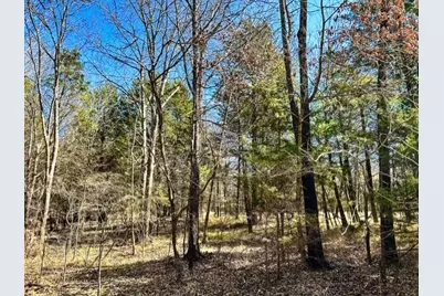 Tbd Rs County Road 3500, Emory, TX 75440 - Photo 7