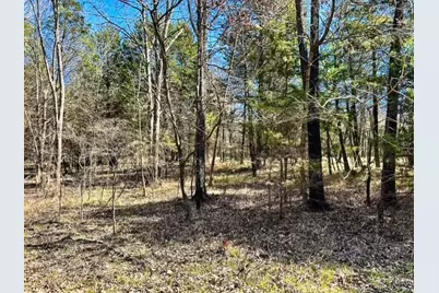 Tbd Rs County Road 3500, Emory, TX 75440 - Photo 11