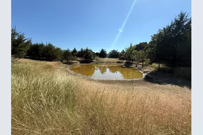 18081 Burden Ranch, Farmersville, TX 75442 - Photo 3