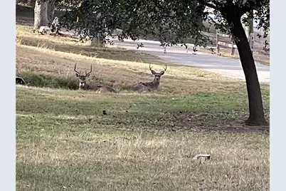 2334 Sanbar Road #71, Possum Kingdom Lake, TX 76449 - Photo 31