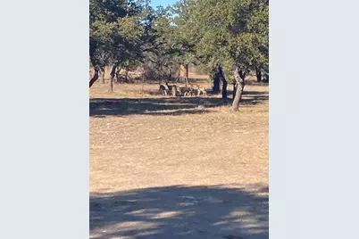 360 County Road 199, Mullin, TX 76864 - Photo 27