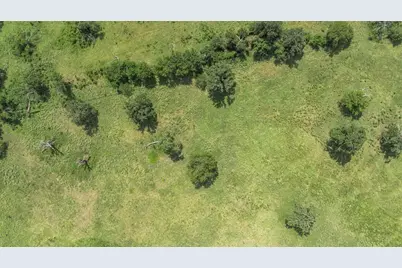 Tbd County Road 721, Kosse, TX 76653 - Photo 11