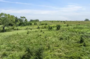 Tbd County Road 721, Kosse, TX 76653 - Photo 15