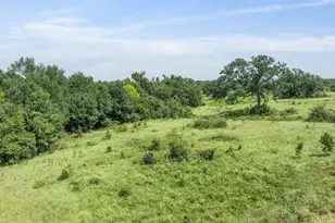 Tbd County Road 721, Kosse, TX 76653 - Photo 5