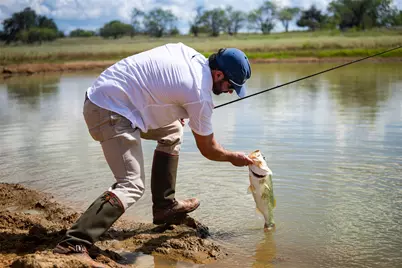 Tbd County Road 155, Nixon, TX 78125 - Photo 15