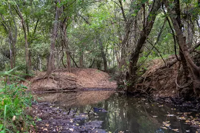 Tbd County Road 155, Nixon, TX 78125 - Photo 21