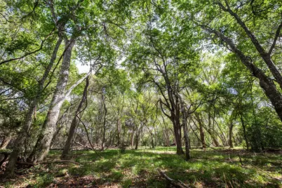 Tbd County Road 155, Nixon, TX 78125 - Photo 23