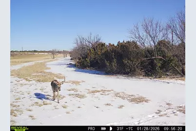 Tbd US Highway 82, Benjamin, TX 79505 - Photo 39