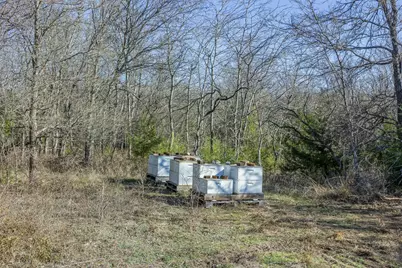 Tract 2 County Road 386, Groesbeck, TX 76642 - Photo 13