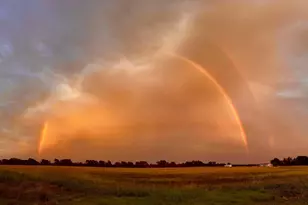 595 Co Rd 2870, Honey Grove, TX 75446 - Photo 37