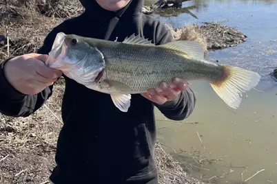 707 Cullins Road, Rockwall, TX 75032 - Photo 3