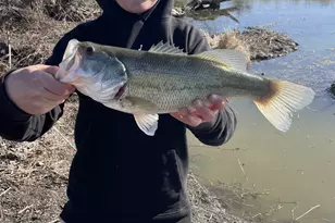 707 Cullins Rd, Rockwall, TX 75032 - Photo 3