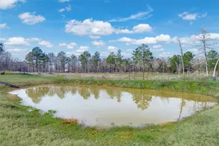 [Address not provided], Jacksonville, TX 75766 - Photo 39