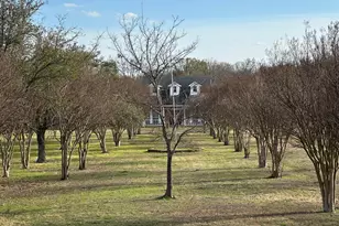 8099 W Interstate Hwy 30, Cumby, TX 75433 - Photo 15