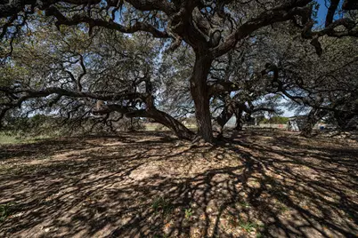 1642 County Road 234, Hico, TX 76457 - Photo 31