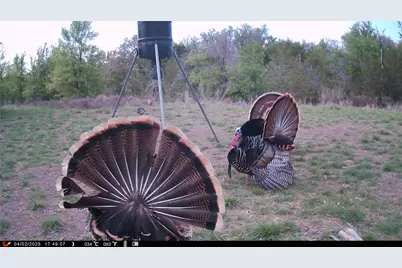 1642 County Road 234, Hico, TX 76457 - Photo 37