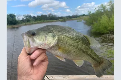 1642 County Road 234, Hico, TX 76457 - Photo 3