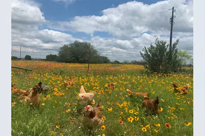 1642 County Road 234, Hico, TX 76457 - Photo 39