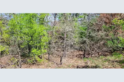 397 Clubhouse Drive, Joshua, TX 76058 - Photo 15