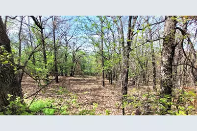 397 Clubhouse Drive, Joshua, TX 76058 - Photo 5