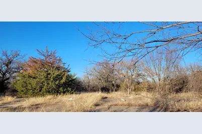 397 Clubhouse Drive, Joshua, TX 76058 - Photo 19