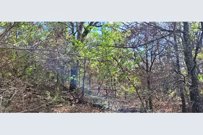 397 Clubhouse Drive, Joshua, TX 76058 - Photo 15