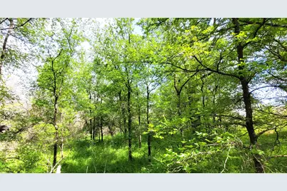 397 Clubhouse Drive, Joshua, TX 76058 - Photo 7