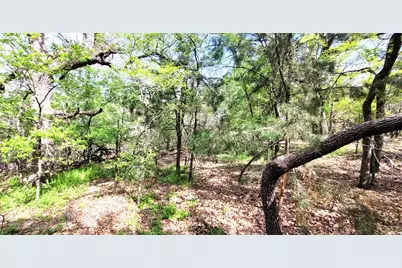 397 Clubhouse Drive, Joshua, TX 76058 - Photo 5