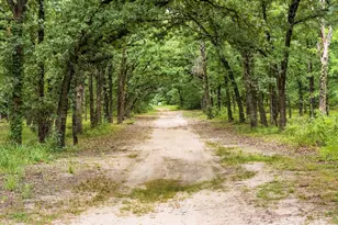 871 Vz County Road 1913, Fruitvale, TX 75127 - Photo 39