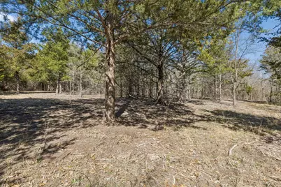 2595 Cr 222, Anna, TX 75409 - Photo 11