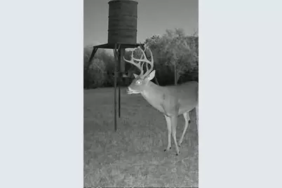 4025 County Road 175, Stephenville, TX 76401 - Photo 19