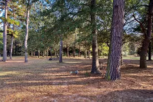 3820 Co Rd 4930, Quitman, TX 75783 - Photo 33