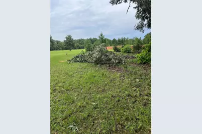 3640 Van Zandt County Road, Ben Wheeler, TX 75754 - Photo 17