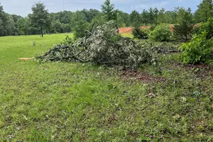 3640 Van Zandt County Rd, Ben Wheeler, TX 75754 - Photo 17